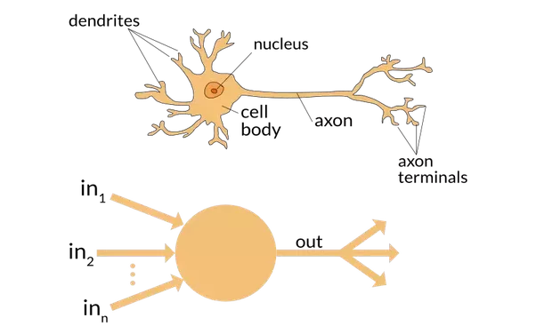Neuron model